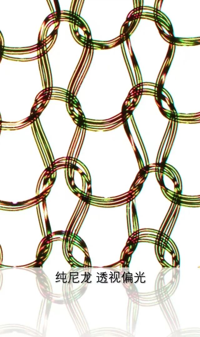 六安蔡司共聚焦显微镜