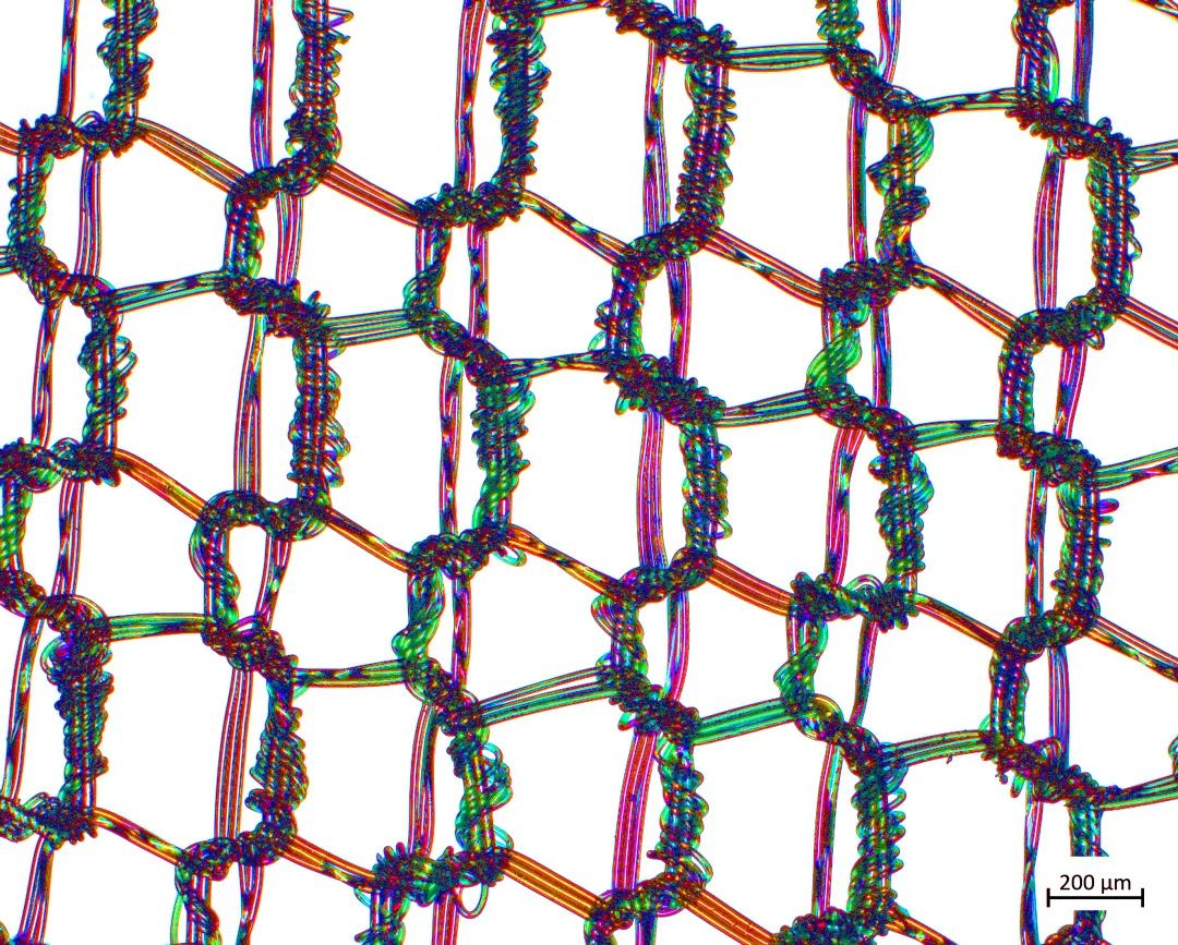 六安蔡司场发射六安扫描电镜