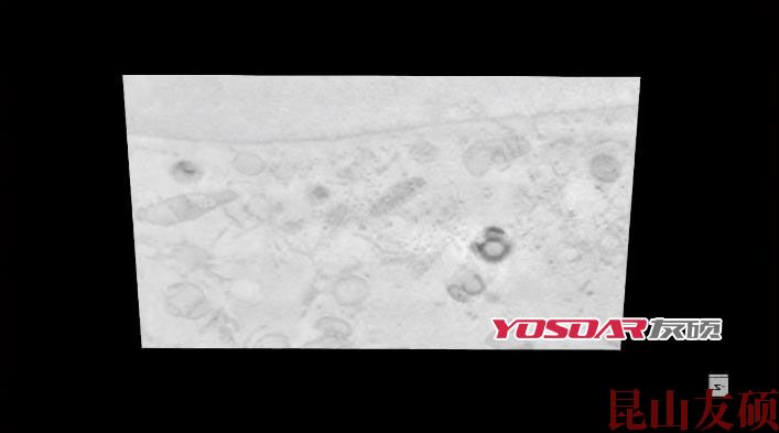 FIB六安扫描电镜