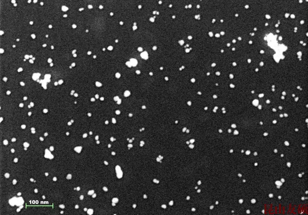 六安六安蔡司六安扫描电镜