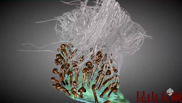 六安蔡司六安X射线显微镜